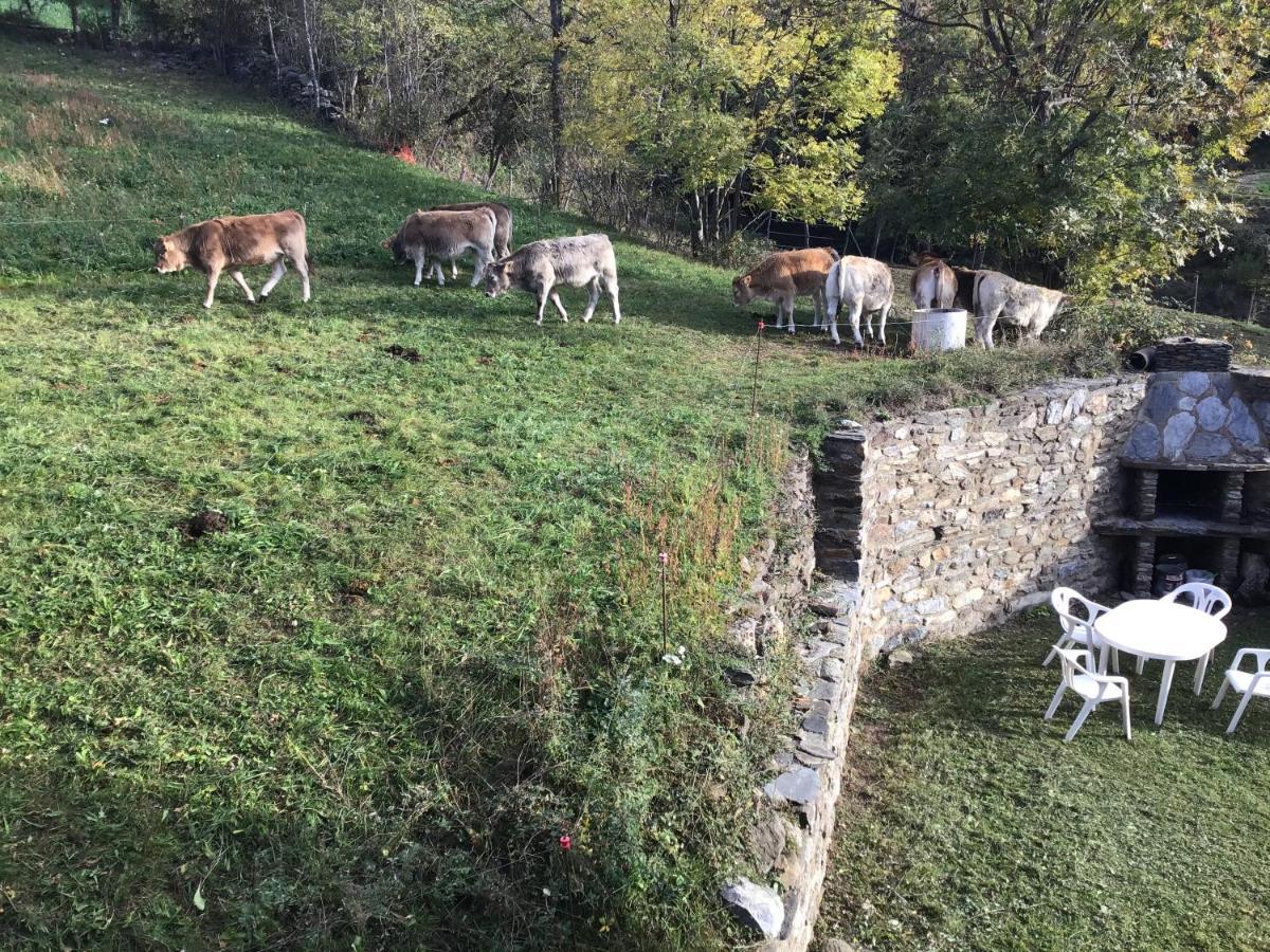 Affittacamere Cal Ramundaina Queralbs Esterno foto